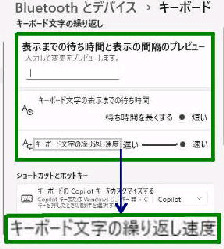 �L�[�{�[�h�����̌J��Ԃ��^�u�L�[�{�[�h�v�ݒ�