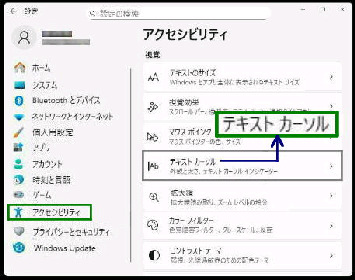 �e�L�X�g �J�[�\���^�A�N�Z�V�r���e�B