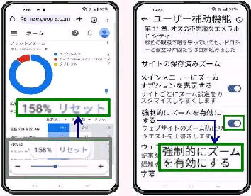 ��ʉ����̃X���C�_�[�uWeb�y�[�W���Ƃ̃Y�[���v�^�����I�ɃY�[����L���ɂ���