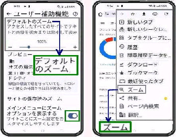 �u�f�t�H���g�̃Y�[���v���[�U�[�⏕�@�\�^Web�y�[�W�̃��C�����j���[