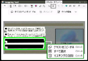 XN[Vbg摜̑IeLXg}XLOꂽ