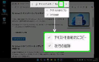 �e�L�X�g�������I�ɃR�s�[�E���s�̍폜�^���̑��̃I�v�V����