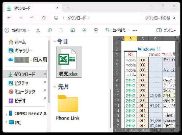 �v���r���[���\�ɂȂ��� Excel �t�@�C��