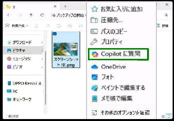 Copilot Ɏ^t@C̉ENbNj[