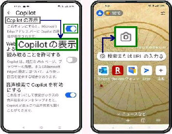 uCopilot ̕\vXCb`^Copilot ݒ