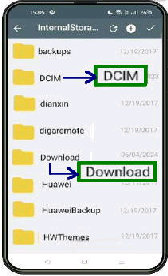 DCIM  Download Ȃǁ^InternalStorage