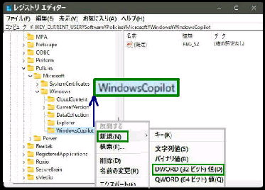 WindowsCopilot^HKEY_CURRENT_USER