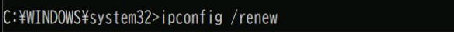ipconfig /renew