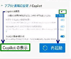 Copilot ̕\^AvŗL̐ݒ